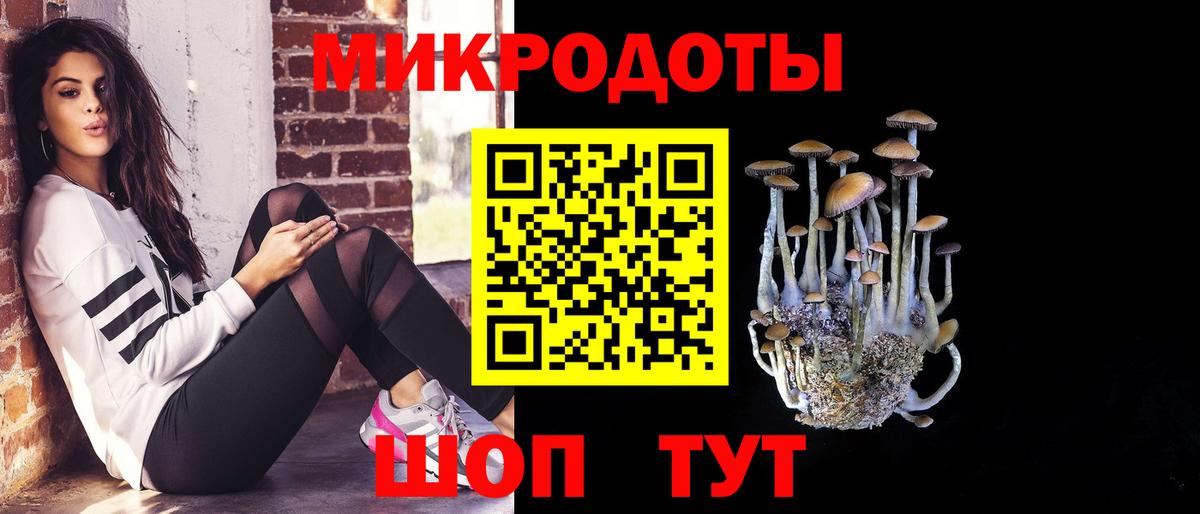 Богданович  Галлюциногенные грибы Psilocybine cubensis  Вход с VPN 