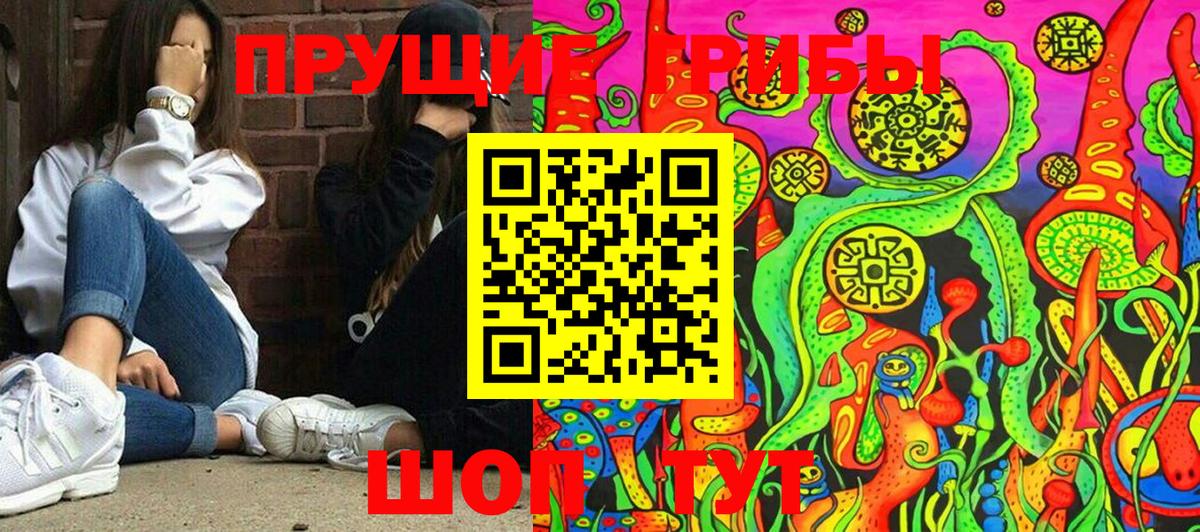 Галлюциногенные грибы прущие грибы Богданович